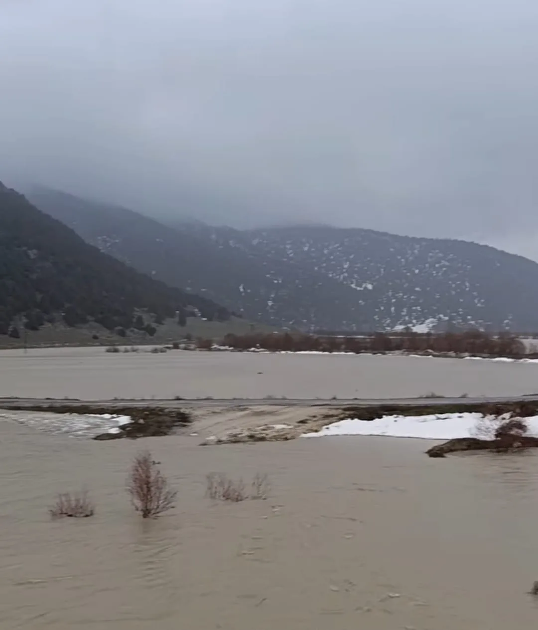 fa866870 3578 4756 8056 9f867af41f4e