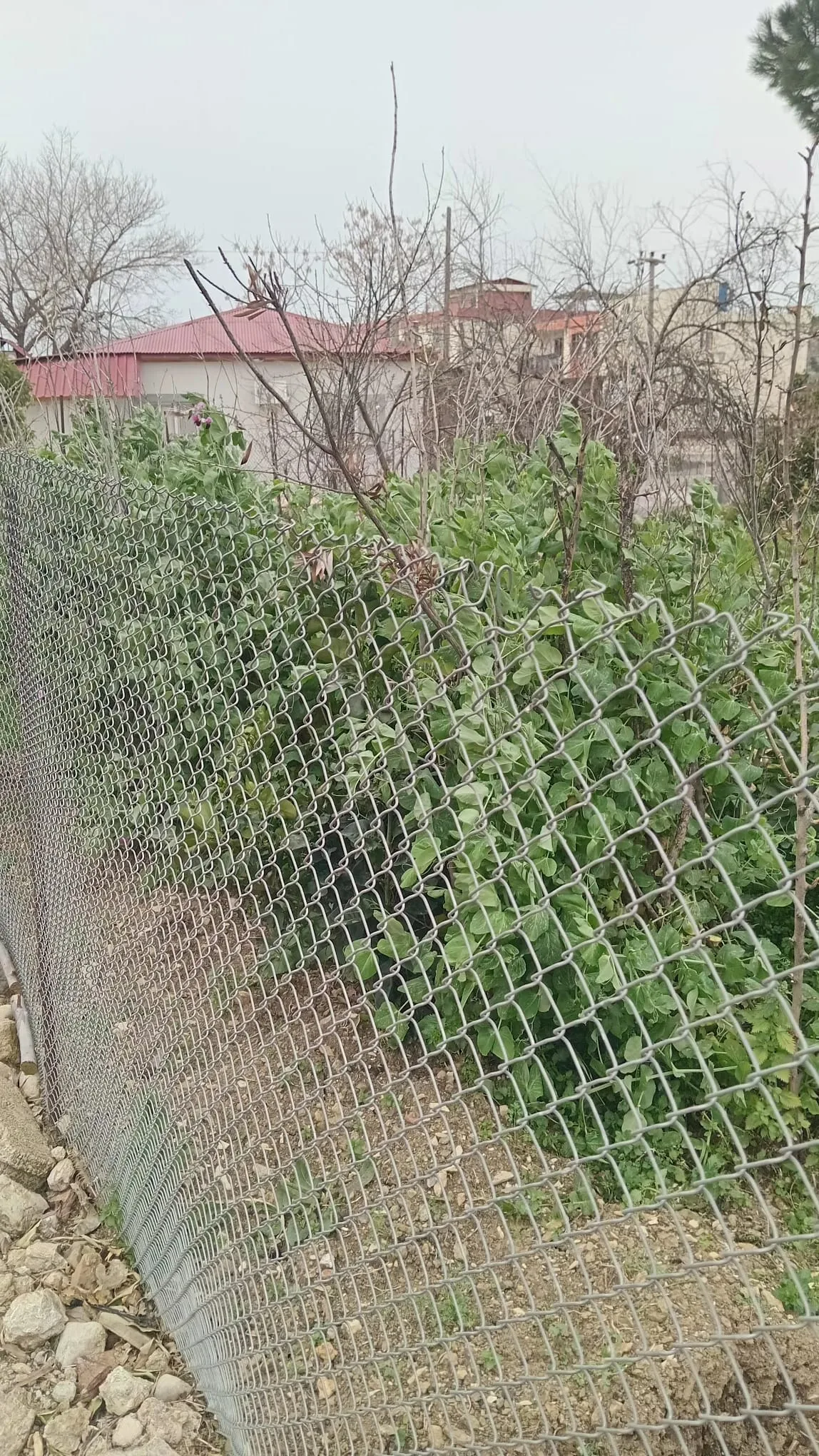 0446625f 80dc 4037 8ee2 dd0cfde114bc