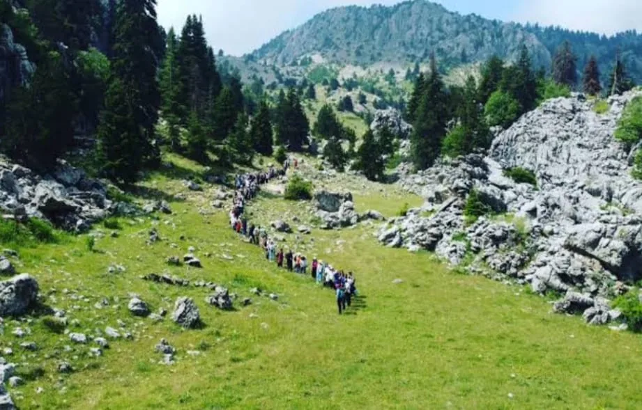 099e86db 015b 4664 9c5a 8fce1d315069