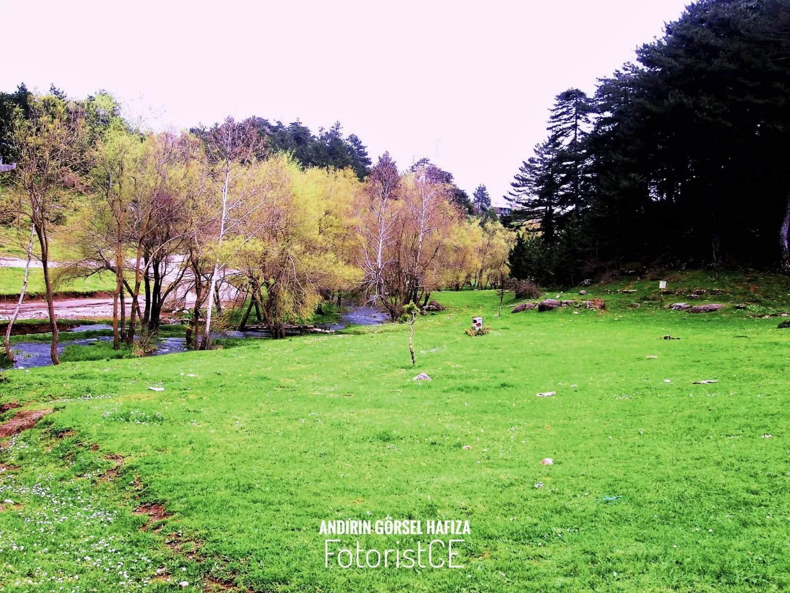 1599eb7e 5d0f 4da1 a203 ca1d3ebbdd4e