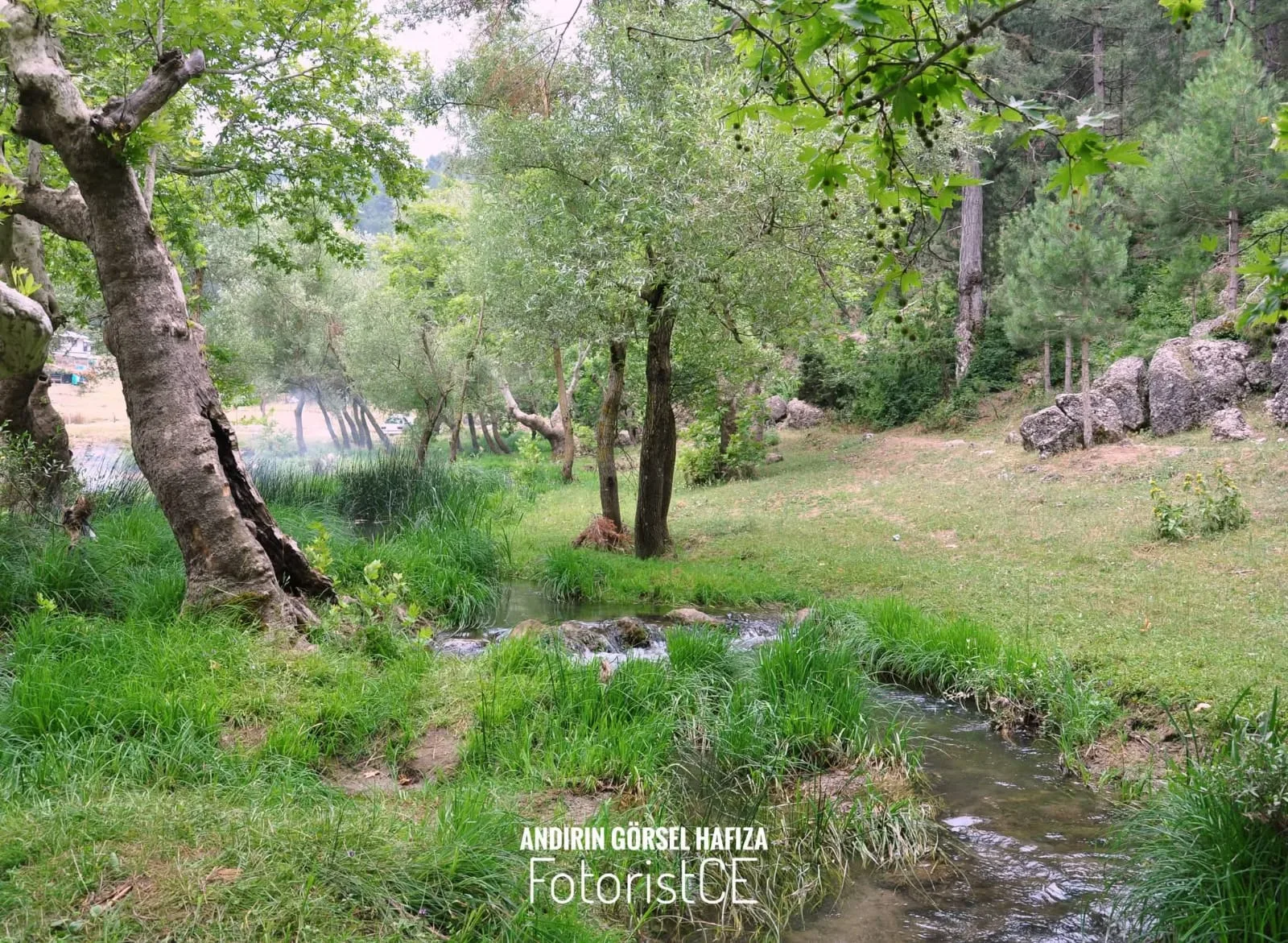 197cd628 c641 4fc6 b7a1 e344f1c34cd4