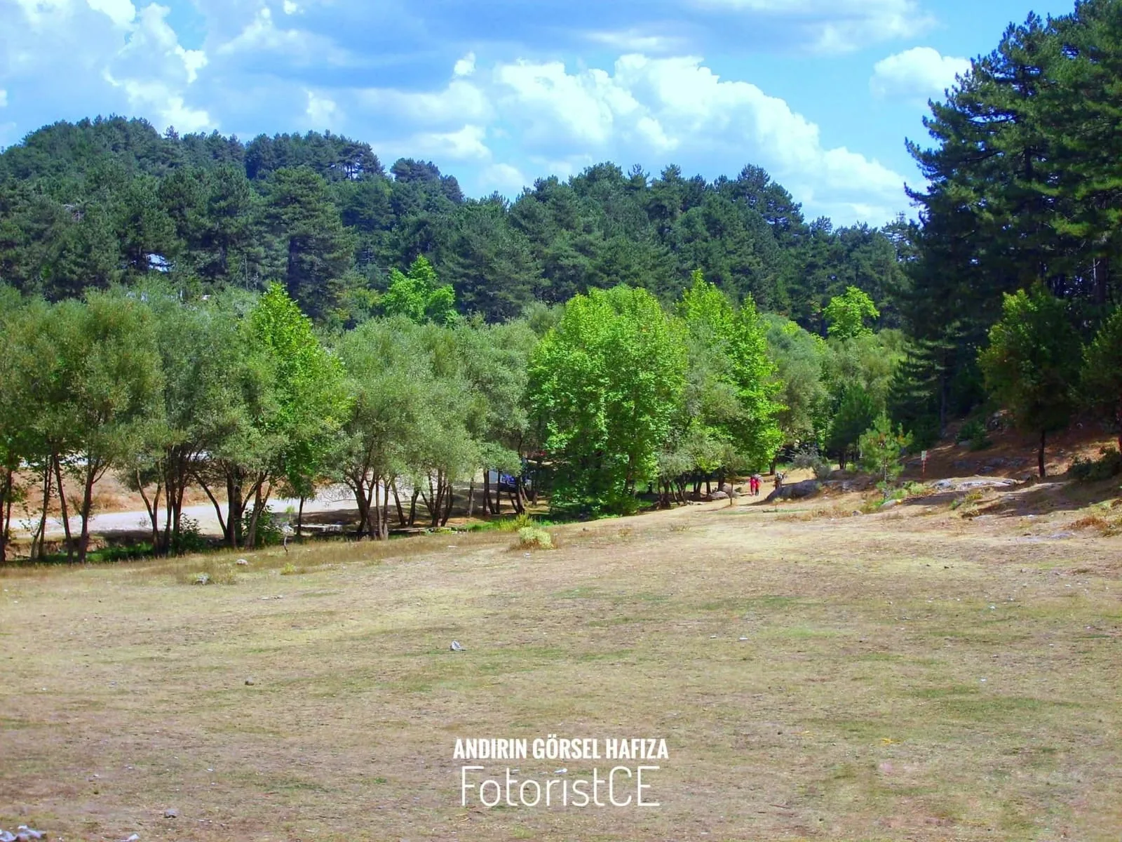 2516d1e7 720c 465c b5e4 7fd6ec565516