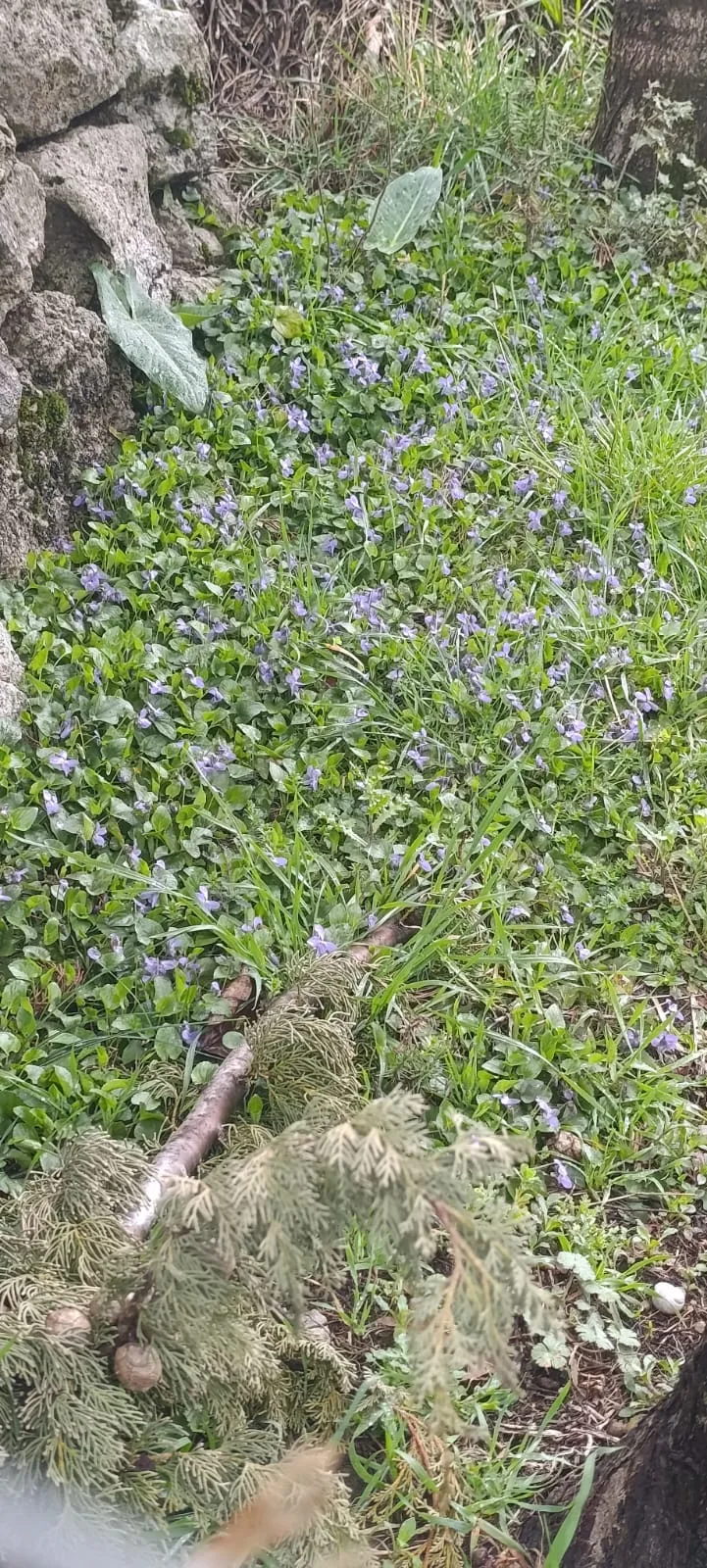 40f043c0 737c 4973 b377 293af96896d1