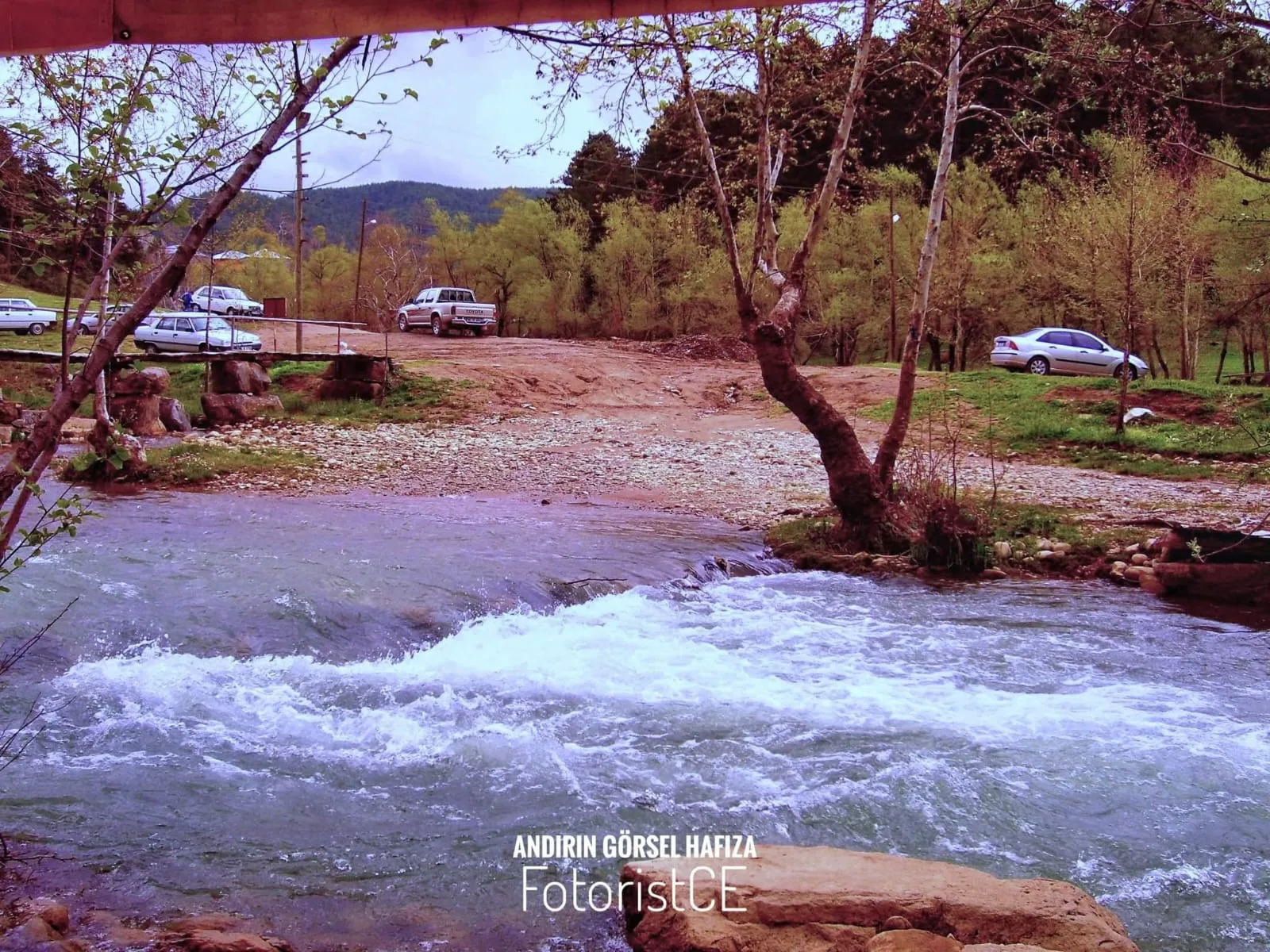 4a1c9bd5 8738 436c aef9 385bb165b551