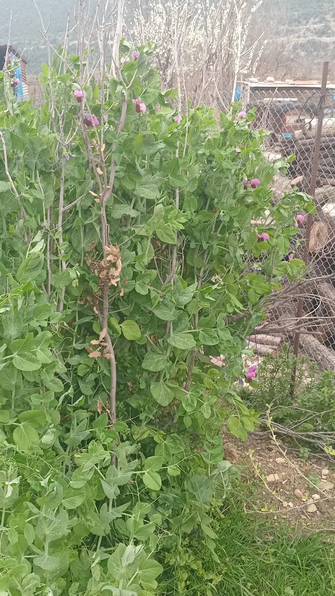 4b06acba 78d5 41ea 9dfe 8b77b37cf9ae