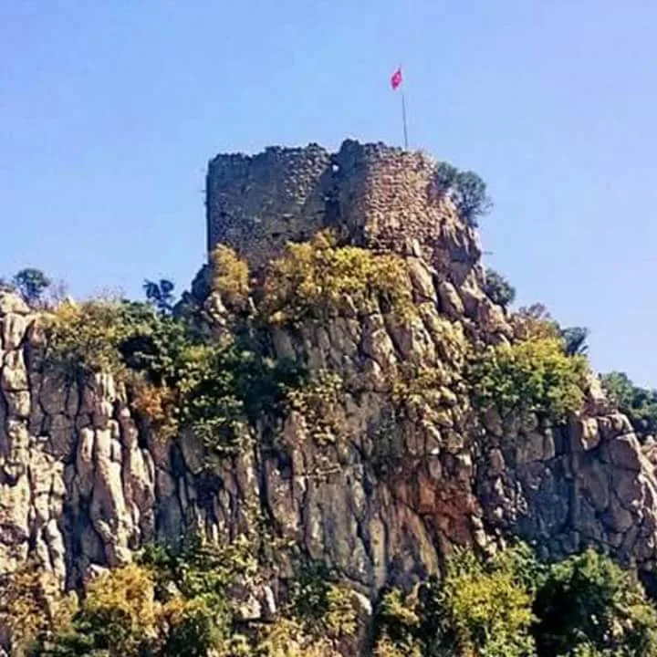 505803531 3183143128500212 5604844131873896935 n