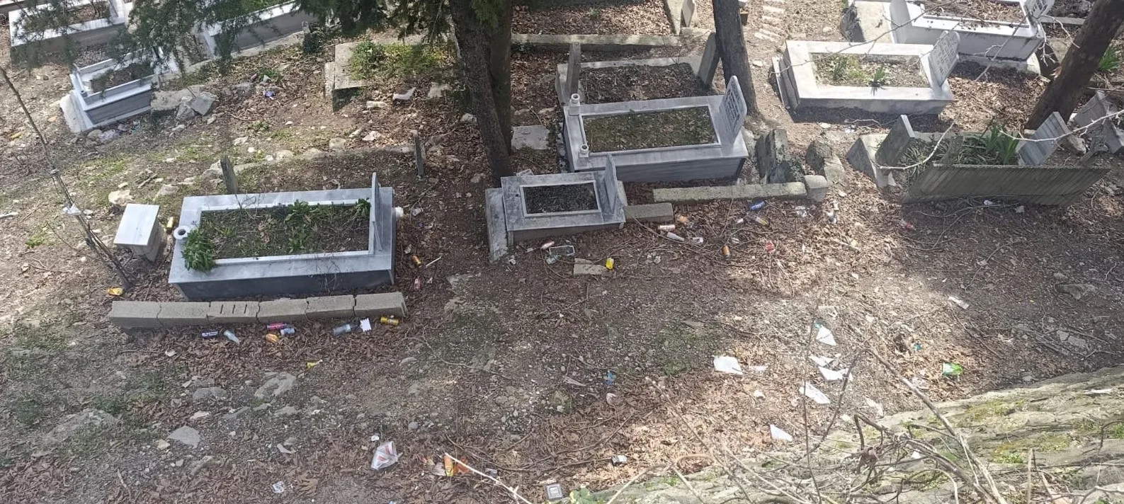 58f257c2 f2e5 4a4d 85c6 a10930f814c9