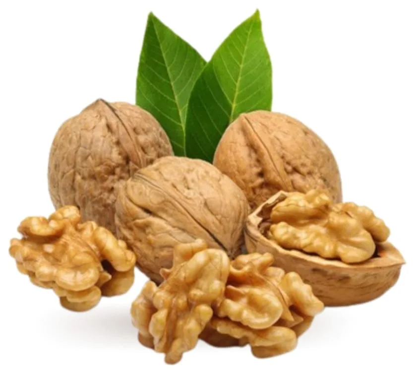 5e6f82b7 0674 46eb 829a 3fbeff82fdde