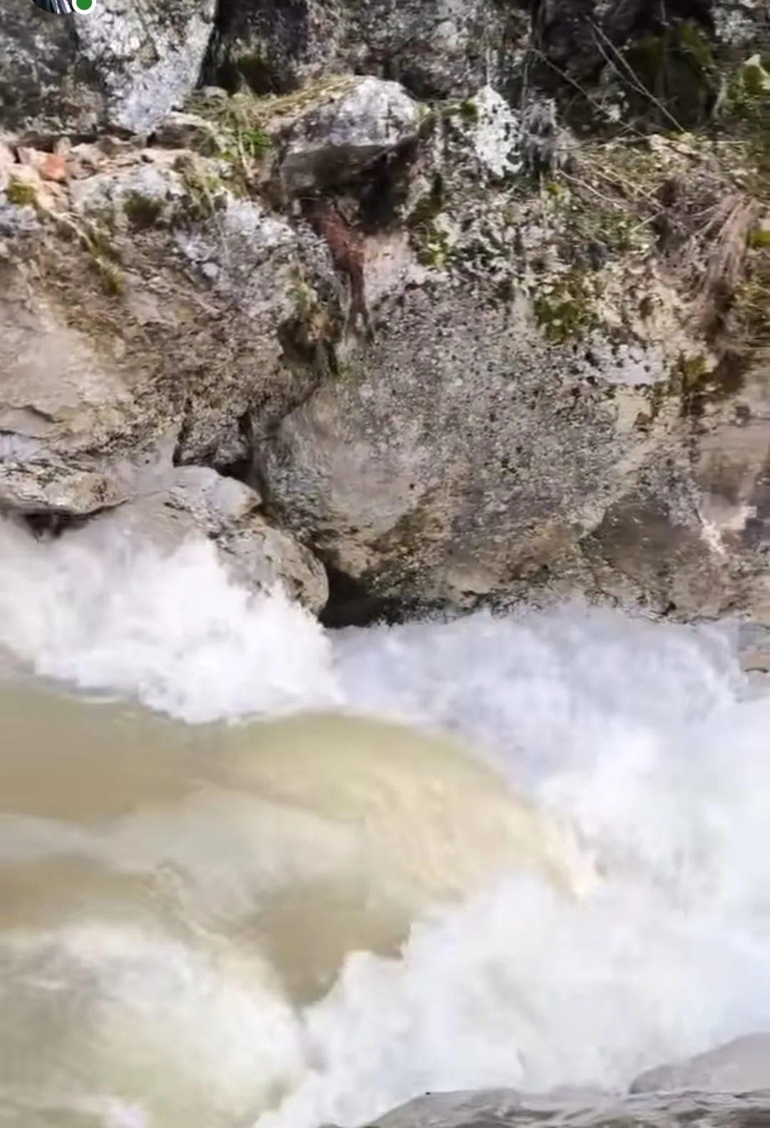 624f08d0 3602 4618 ac24 0b5c8dfc8e14