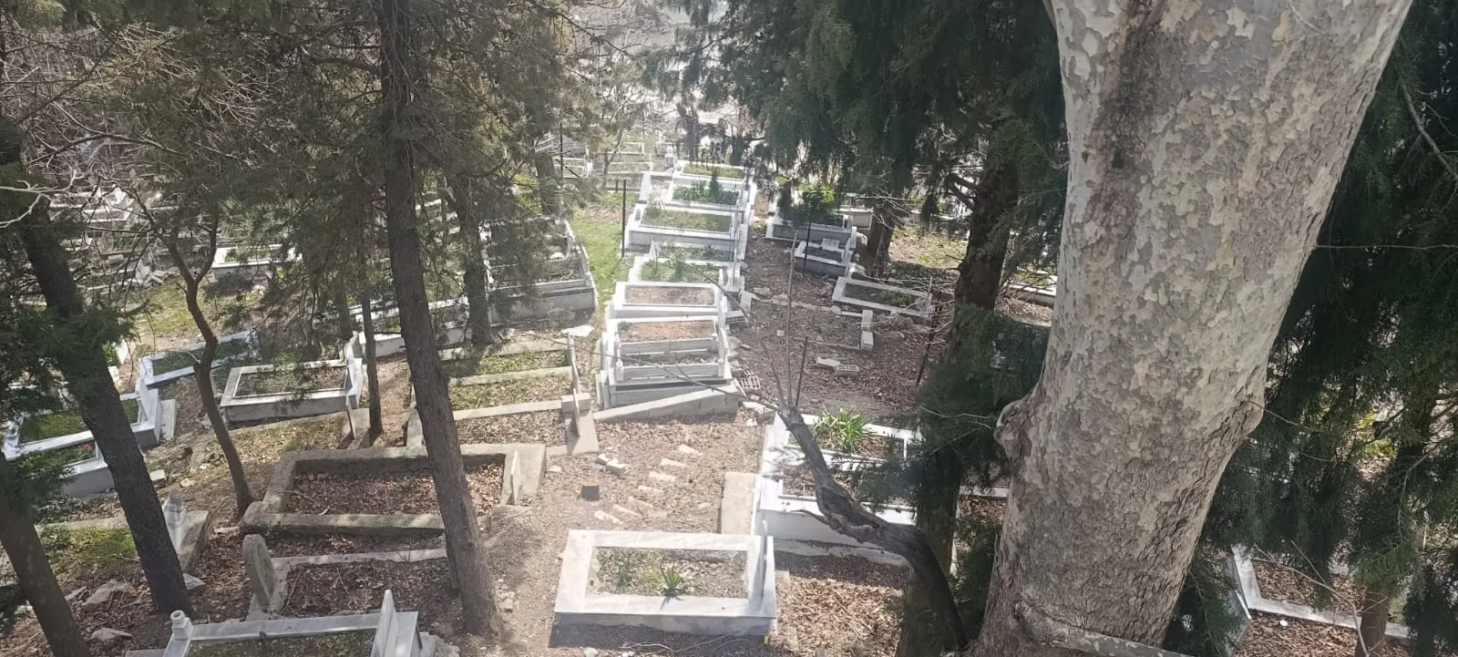 660e215f 68f4 4152 8e2b 8c5b6572998f