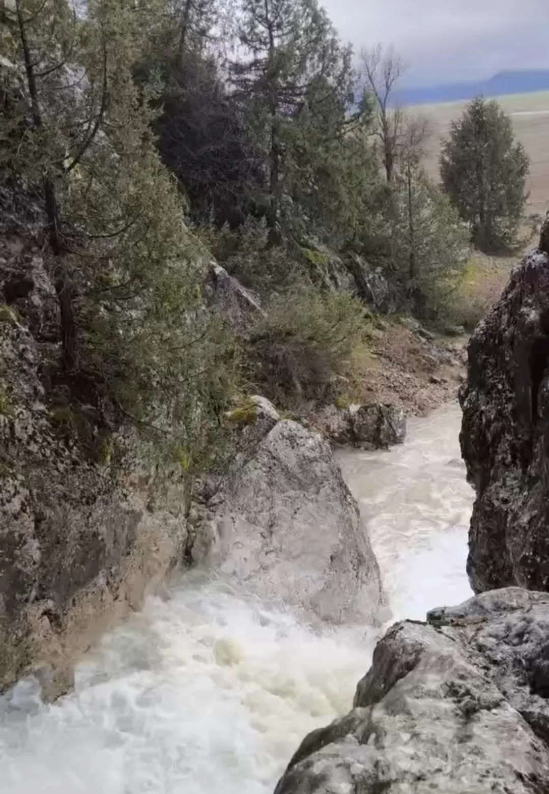 6923e580 41fc 4e8c 9219 a30c146283db