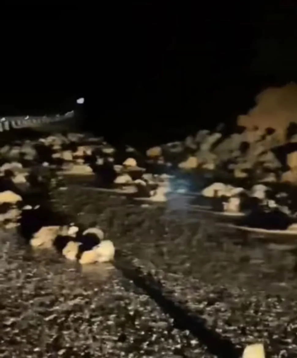 71115237 d9ff 45e2 9e0a 8728569cf9db