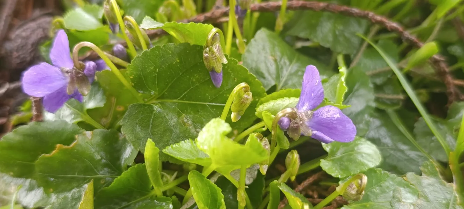 814d8eae 8fa1 43a8 b923 7192cc05aced