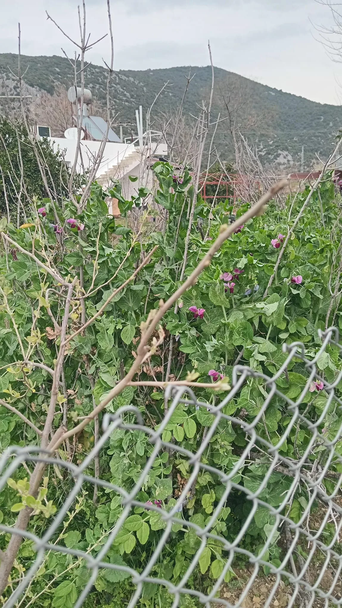 89a985c8 ad3c 4ade a74c 6ac2bd4a0b86