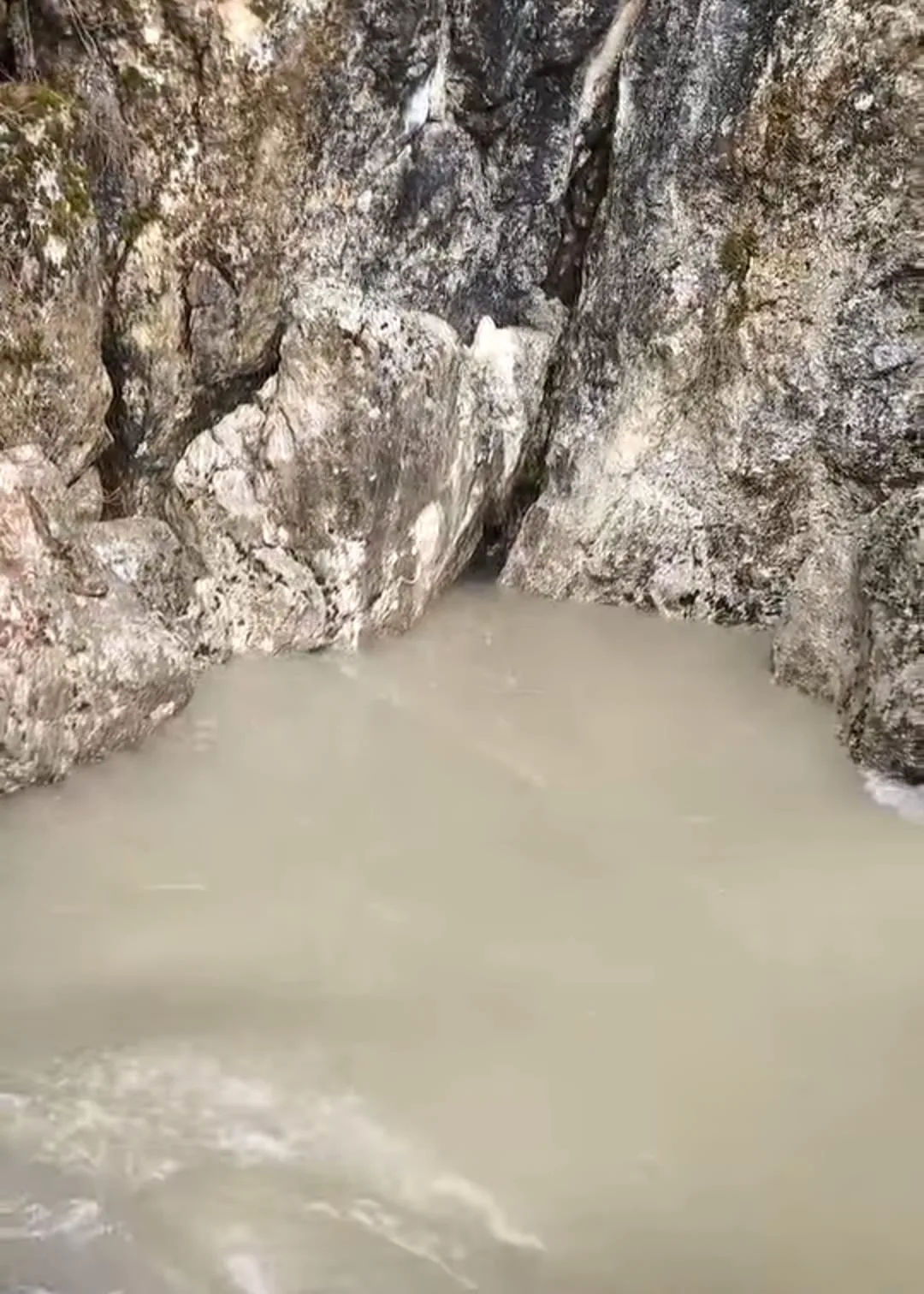 8a580072 4ede 4ace a999 1eabdc453973