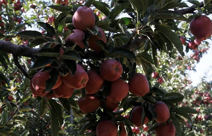 Ekran Resmi 2026 03 05 17.37.19