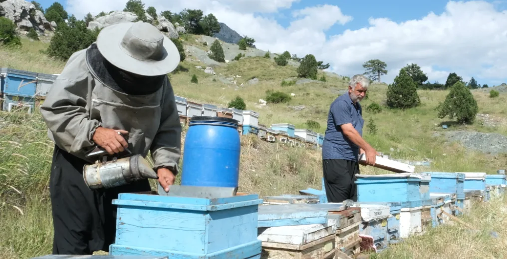 Ekran Resmi 2026 03 05 17.51.48