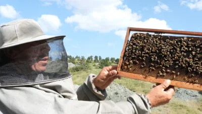 Türkiye bir arıcılık cenneti, ancak Kahramanmaraş’ın Andırın ilçesinden gelen bir