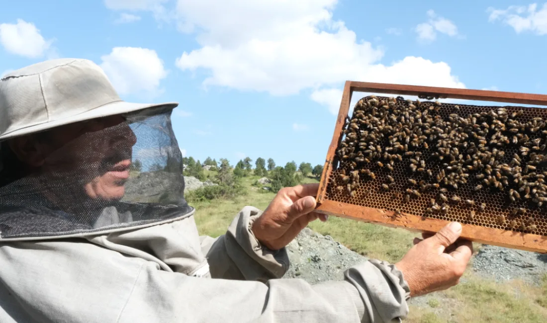 Kahramanmaraş’ın doğası, zengin bitki örtüsü ve yüksek rakımlı yaylalarıyla bilinen