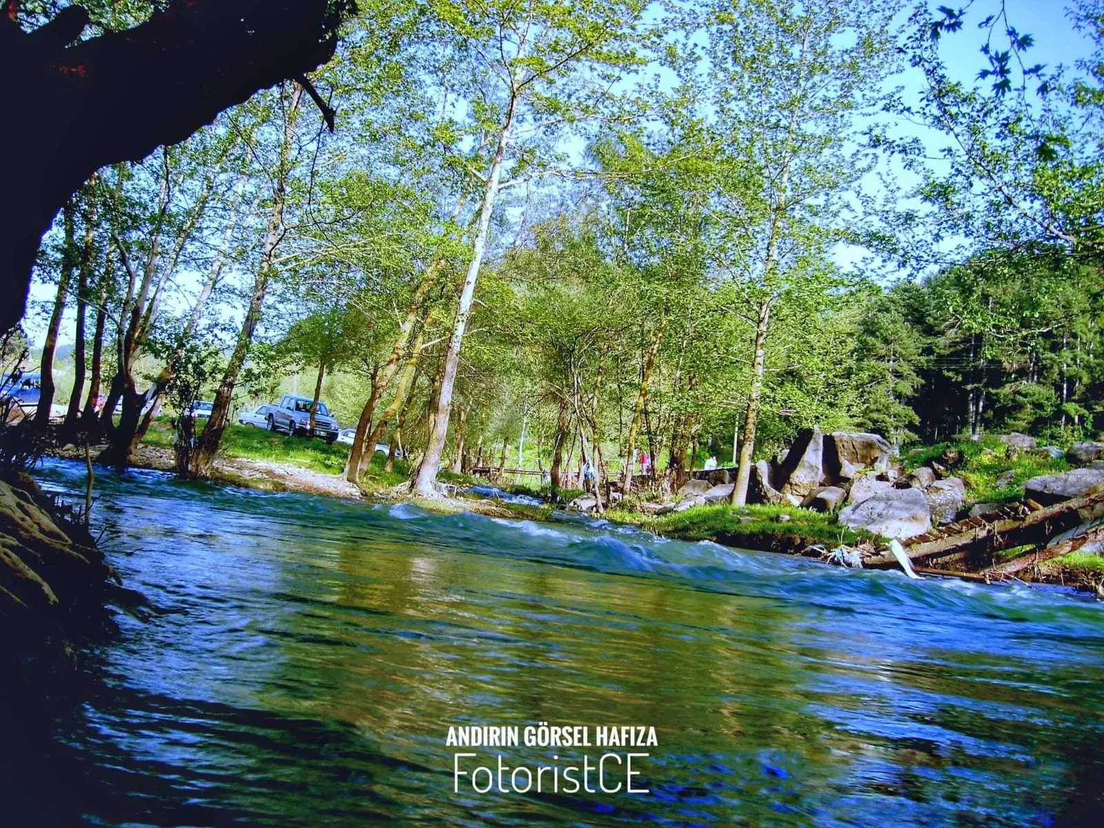 b9069bb6 1def 436a aa54 5f8101d868d8