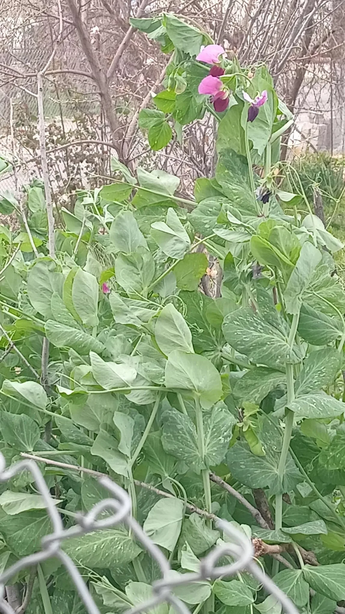 cbb1226b a237 4a5a a44c f8a4dc8d1b57