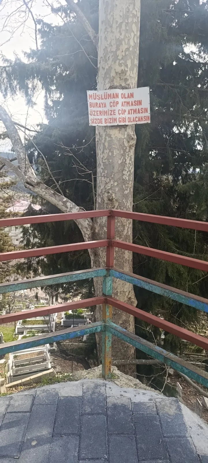 d4f227f2 b2fb 4f98 b544 c26211c6638e