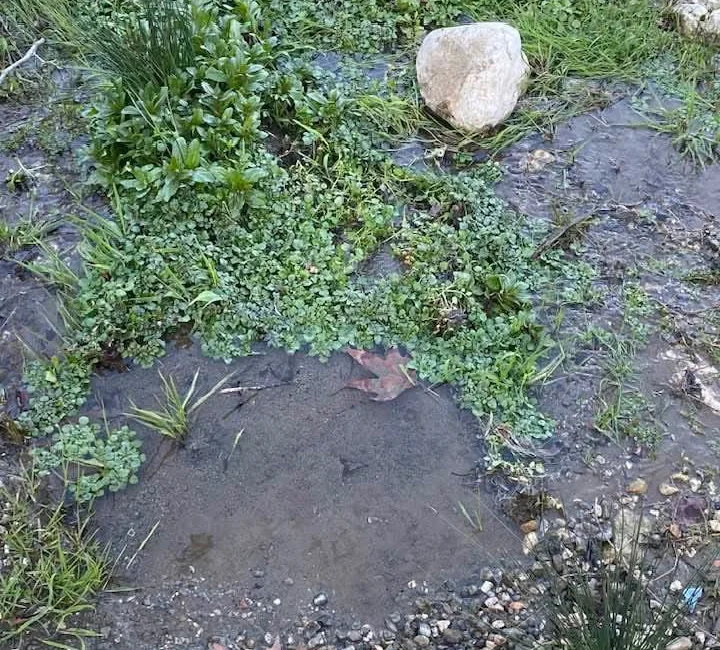 Andırın ilçesinde vatandaşlar, Ramazan ayında iftara saatler kala doğaya yöneliyor.