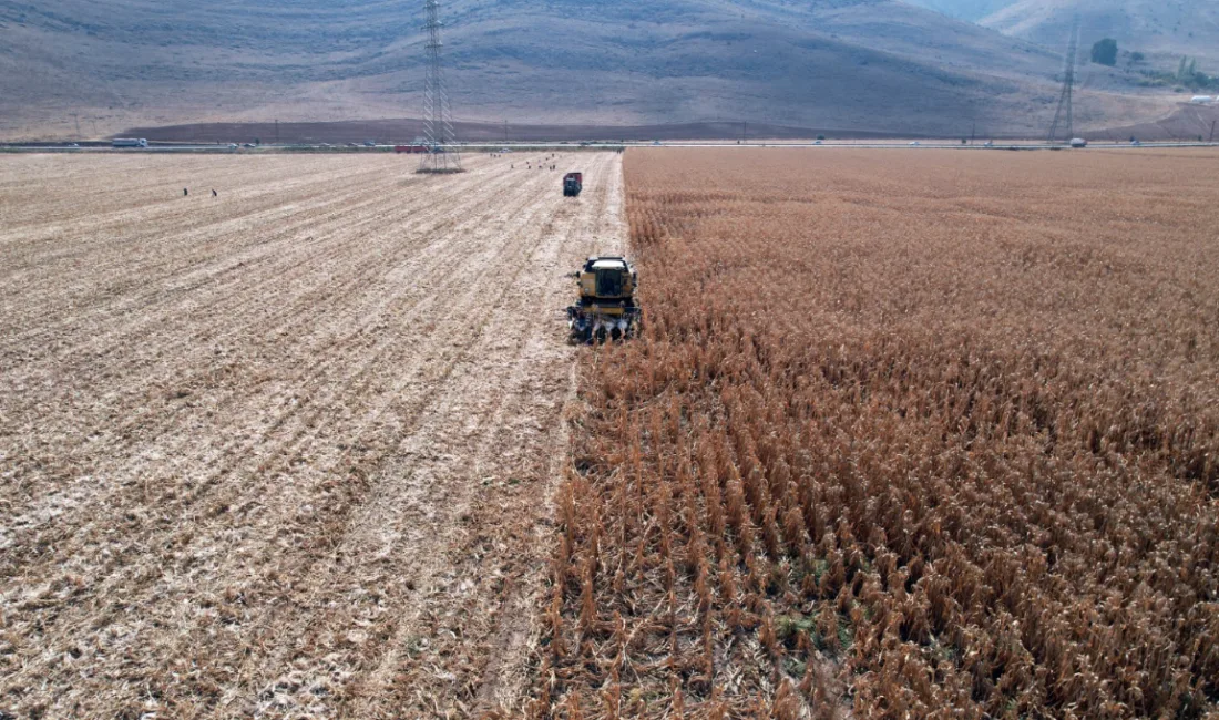 Kahramanmaraş’ın tahıl ambarı olarak bilinen Elbistan Ovası, 2026 üretim sezonuna