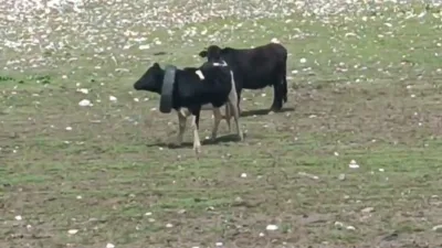 Kahramanmaraş’ın Andırın ilçesinde yaşanan olay, "bu kadarına da pes" dedirtti.