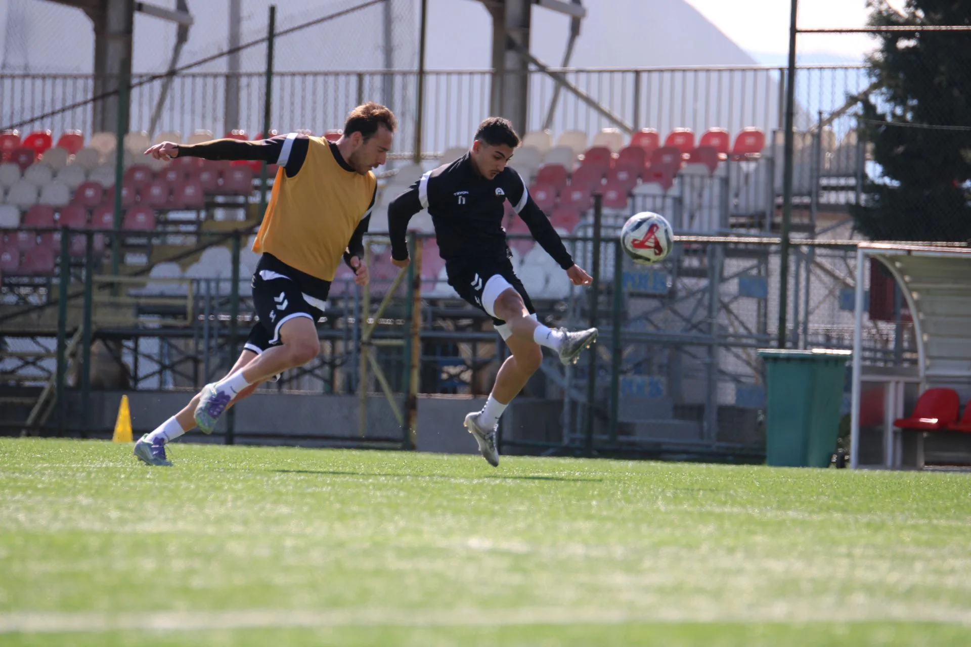 101400ff 29f7 43d2 bf15 747da925a3e0