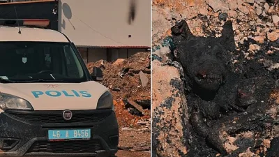 Kahramanmaraş’ta “Bu nasıl bir caniliktir?” dedirten bir olay yaşandı. Yakılmış
