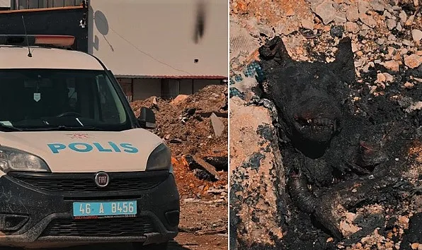 Kahramanmaraş’ta “Bu nasıl bir caniliktir?” dedirten bir olay yaşandı. Yakılmış