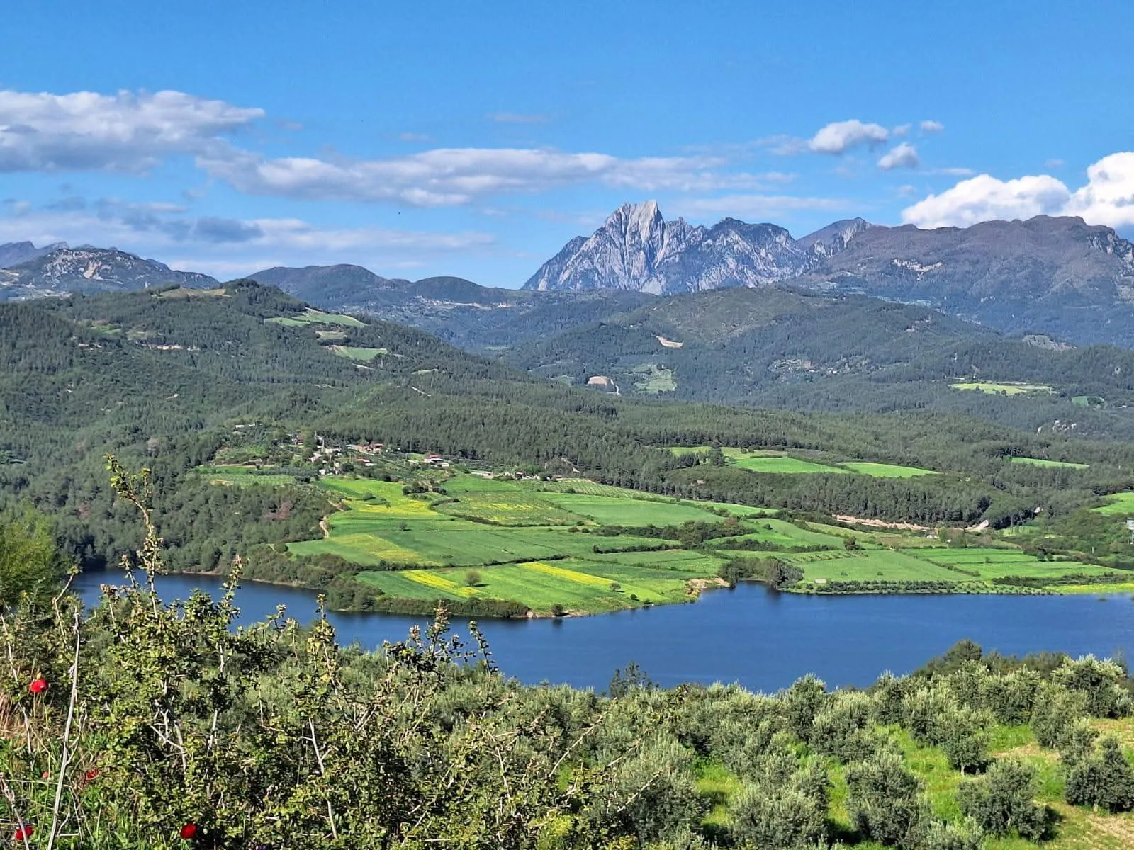 13cb0837 37a6 4abf 8409 394be1a10de5