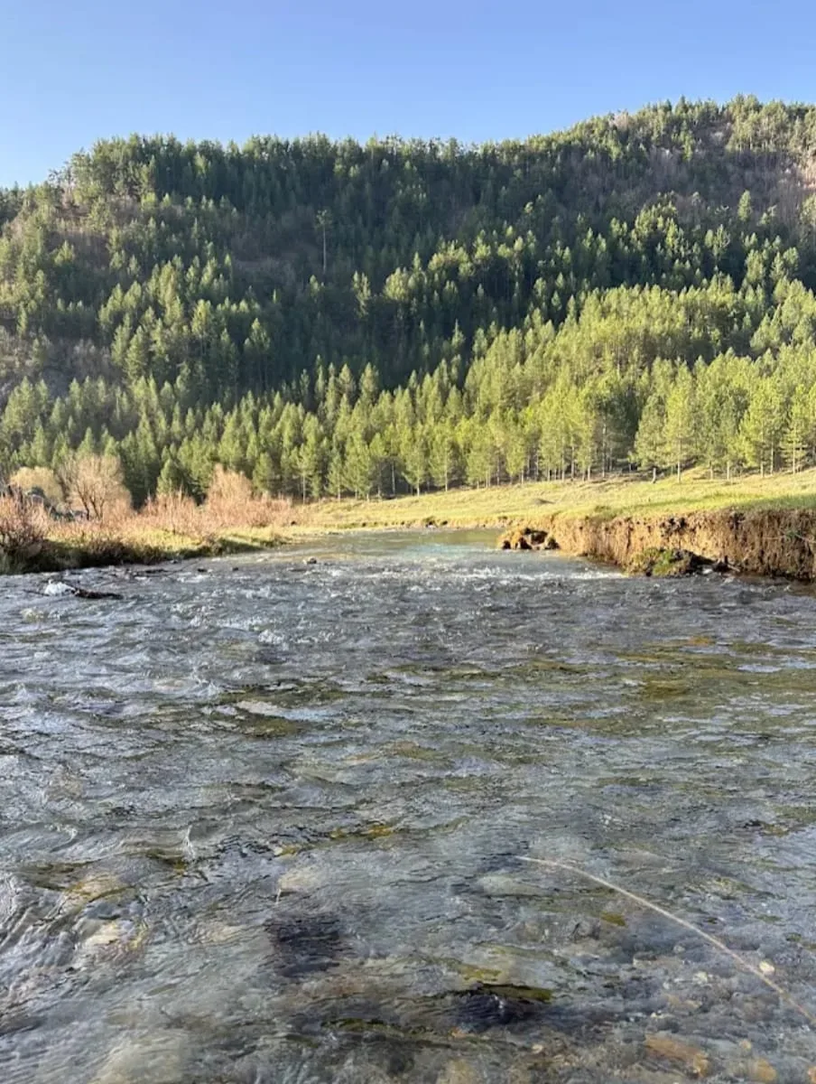 16154112 c3f0 4675 b3df 13c8cd3aba2c