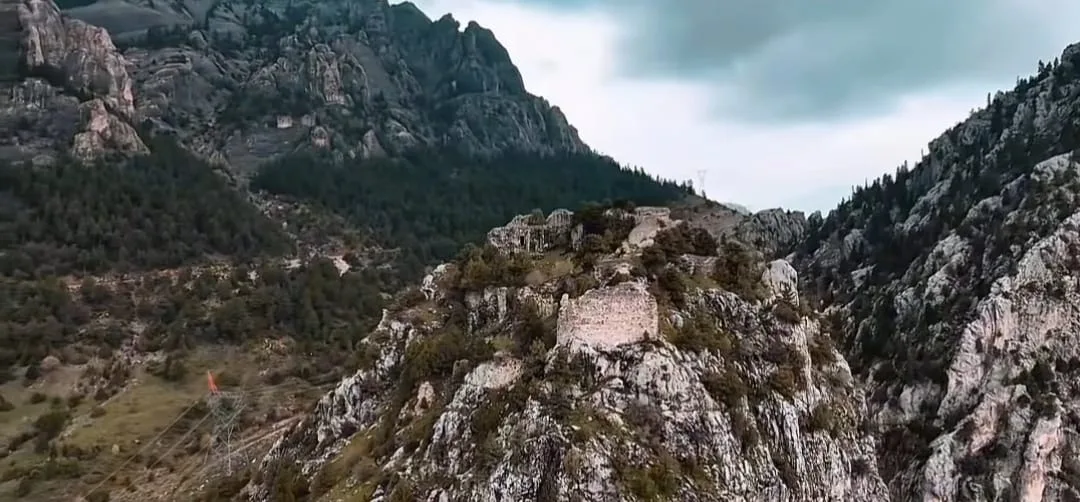 1b61406f 0587 404c 821a 34a0247d1843