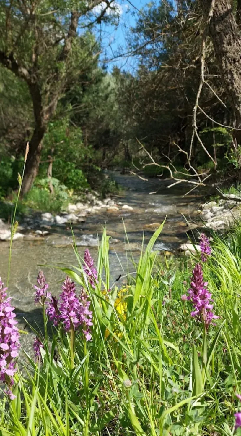 28c922fb 728c 402c 88dc 1c1f106950fd