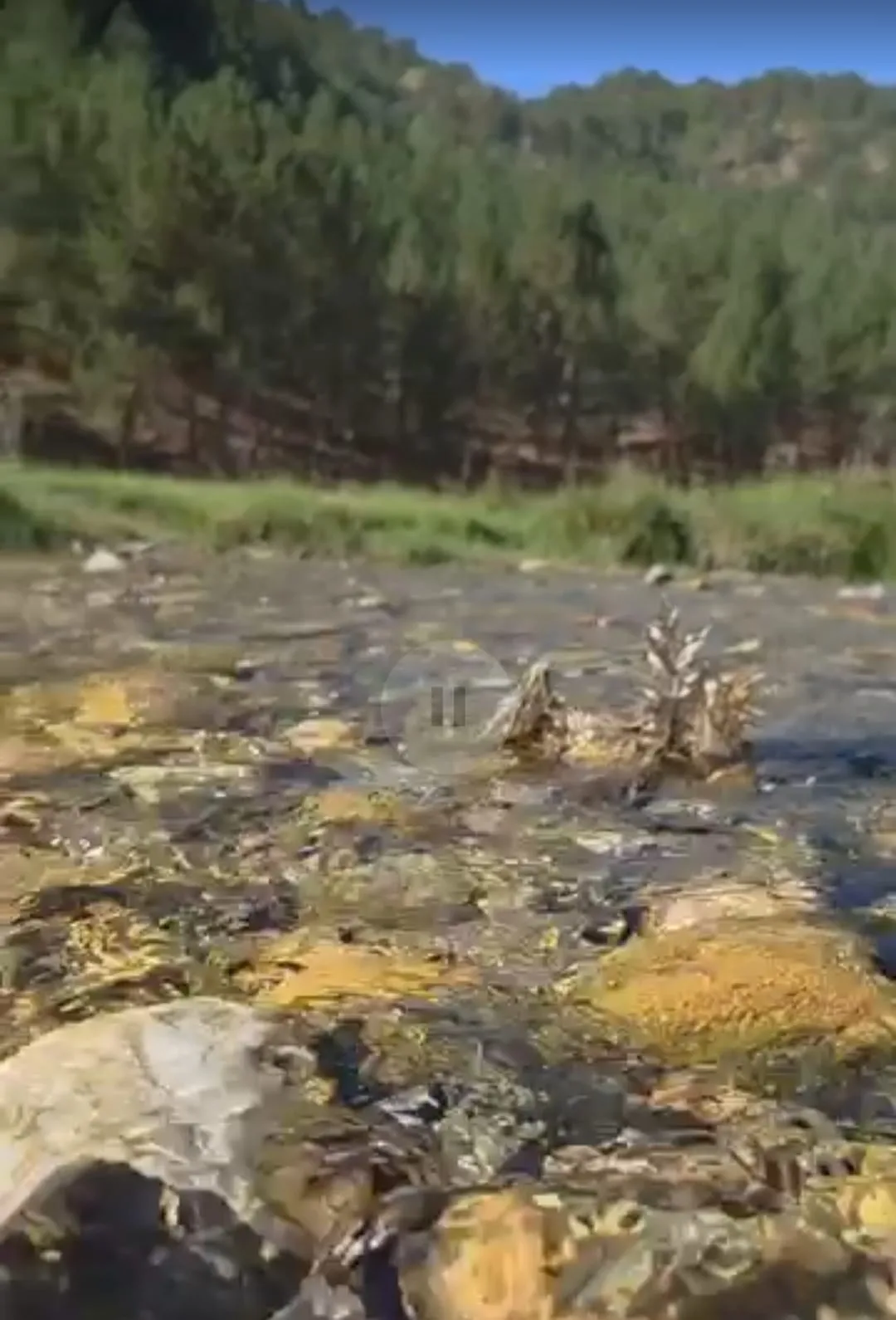 2ecdc8fd 8817 4532 ad3d 4de5a170438c