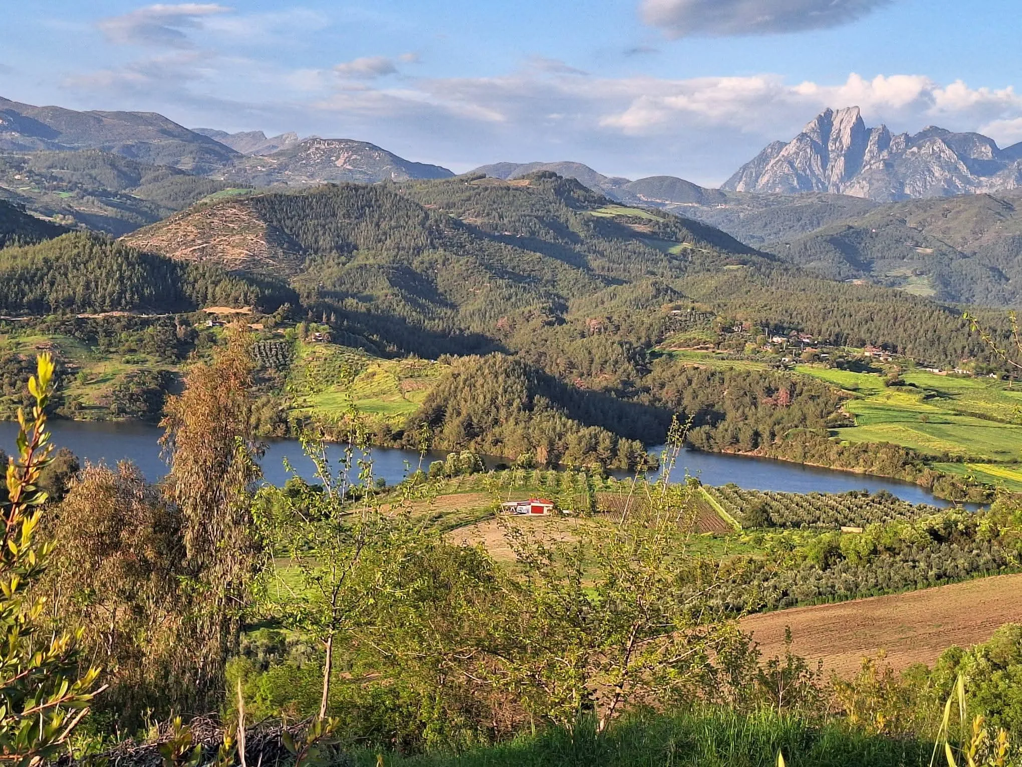 4a533850 74e7 444e 84f1 3a1a8f915550