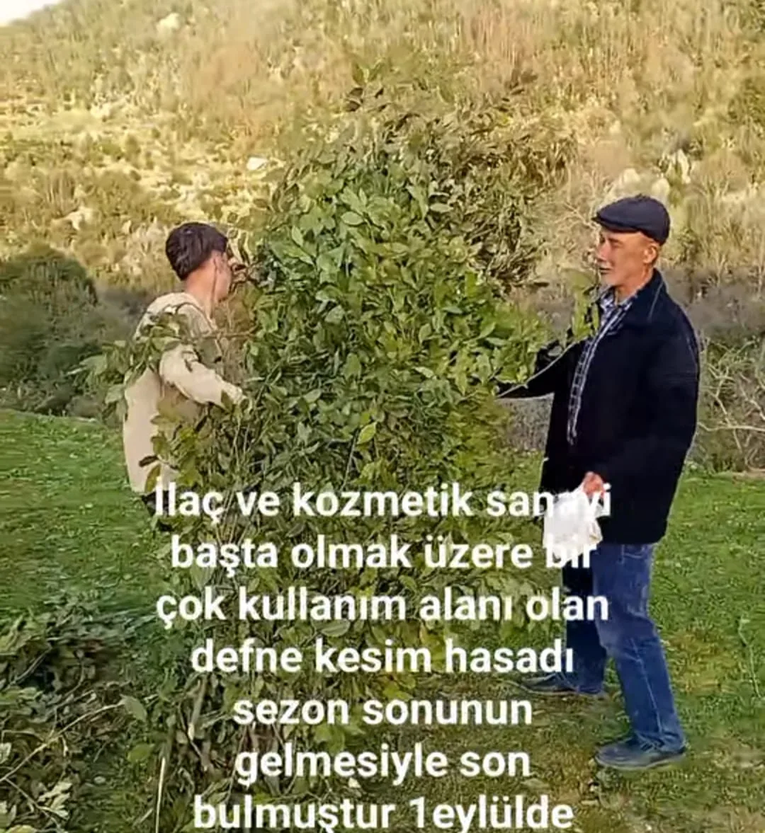 61d3336d f35a 4690 9eed 7cd7662975df