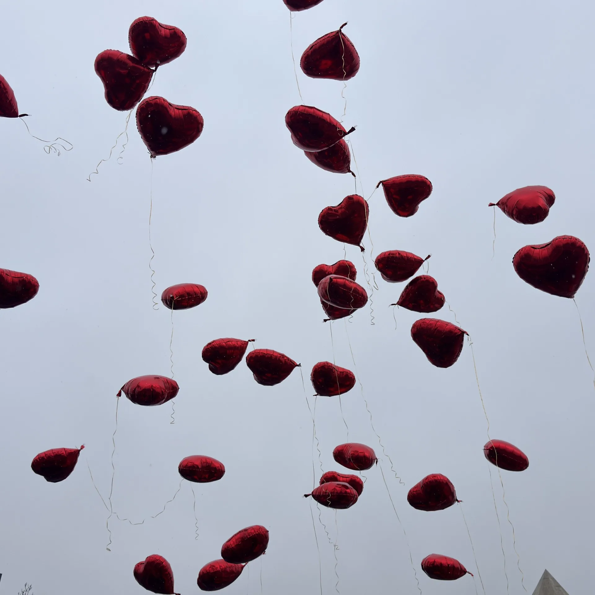 6dbd6f92 80b5 4e1f 9038 5906ee2983a8.jpg 1