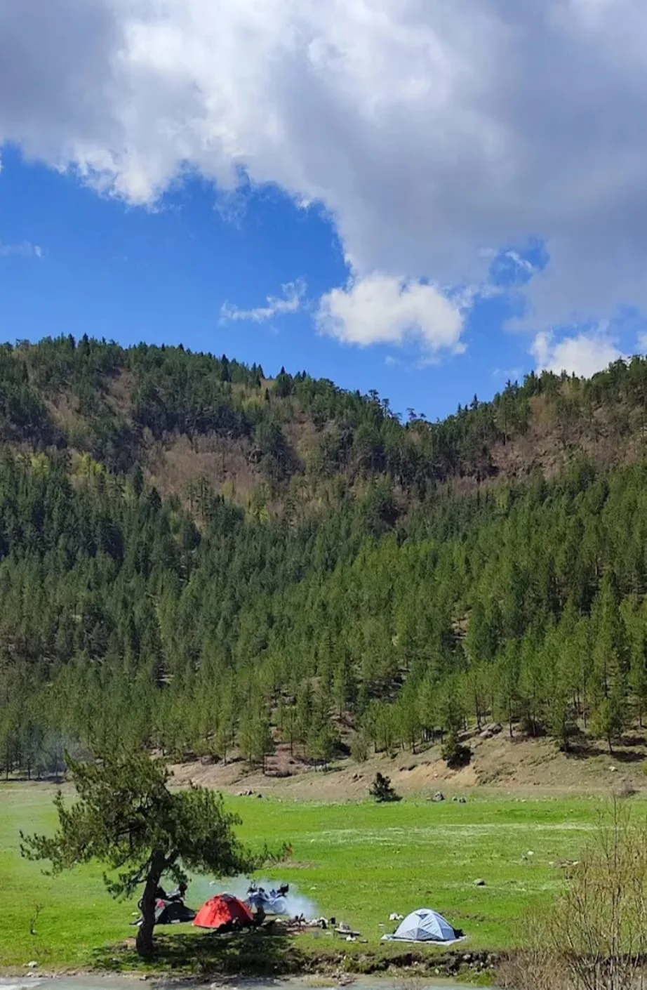 746249cc 4132 4652 9b2e 99ce55fc15a6