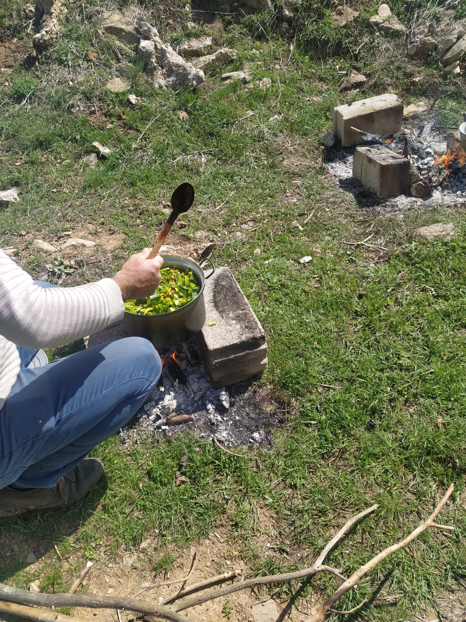 76937c06 7ff1 45b8 a1d1 450acb5fe3b4