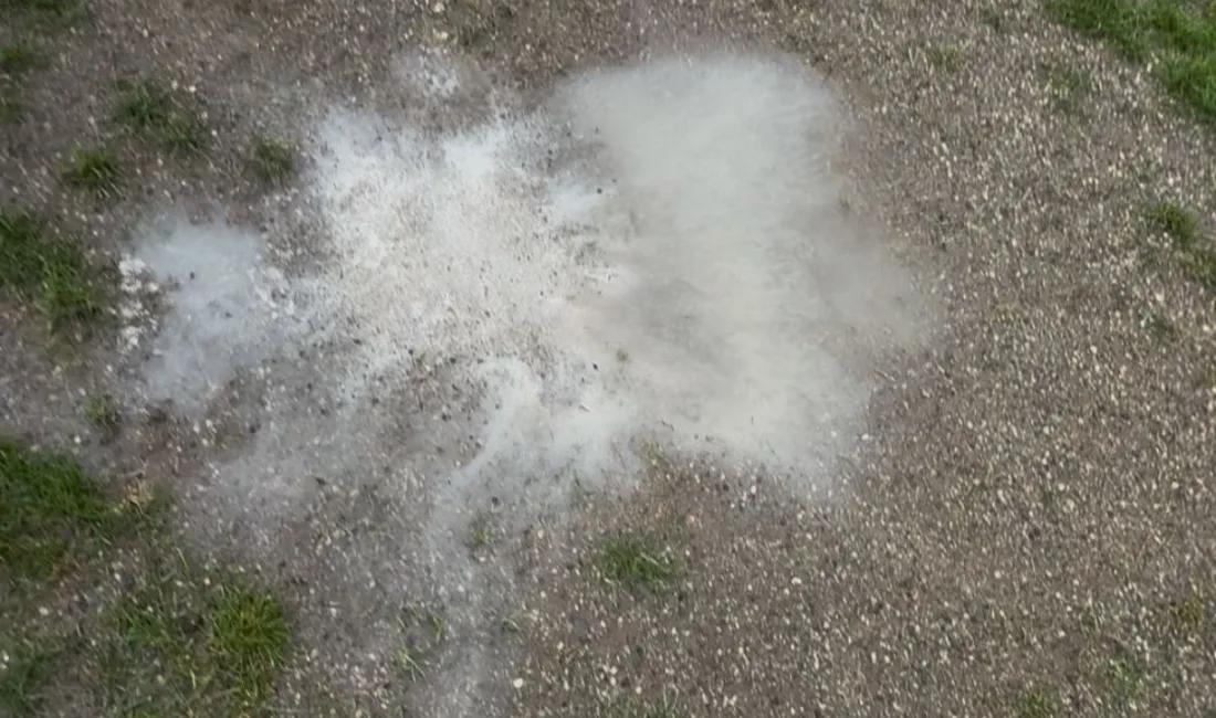 3. Lig’de kalma savaşı veren aslanlarımız, Diyarbekirspor deplasmanı öncesi “saha”