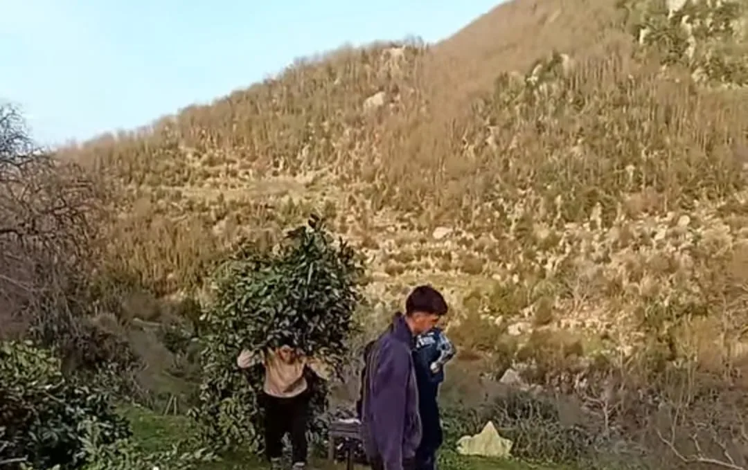 83b6c3d2 eaf7 4c27 8c87 63166b95959a