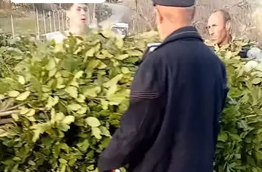 8b981056 bd4b 428e 83ec f3d1891a999e