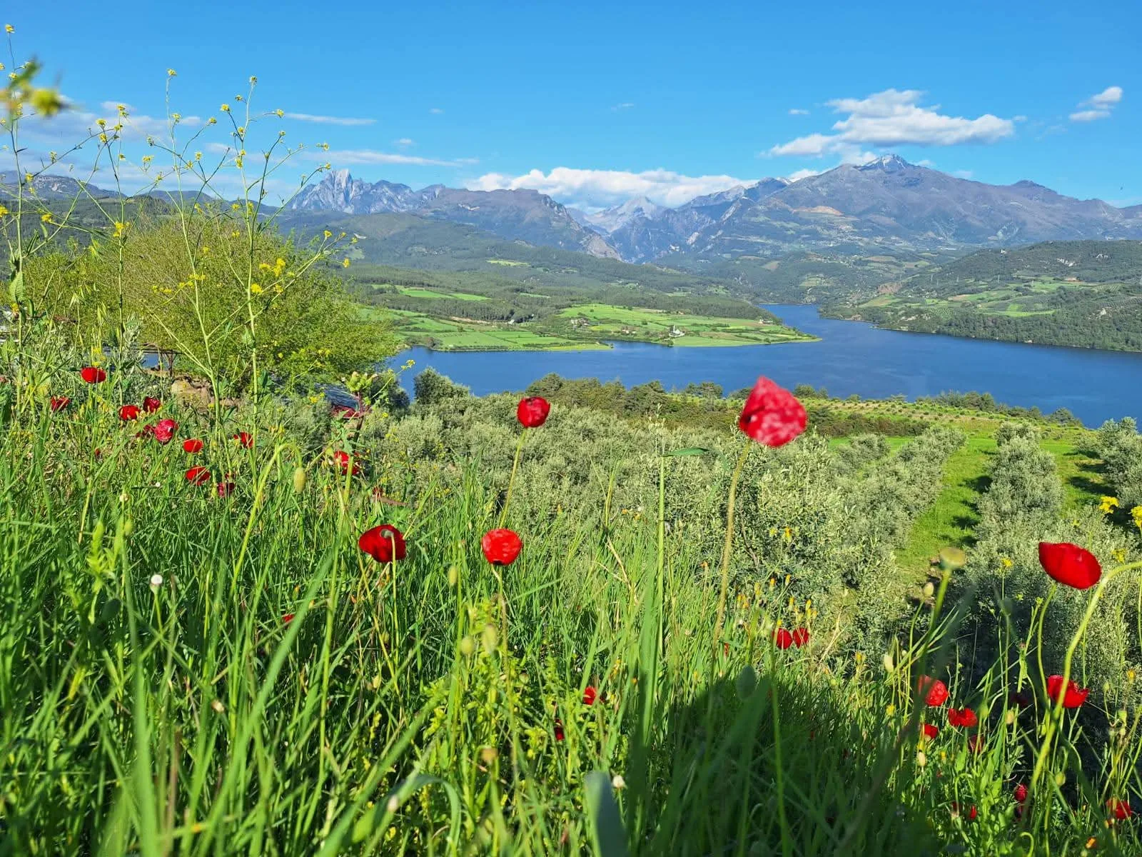 9a1cf100 8a9b 47f1 8789 faaedab3f66a