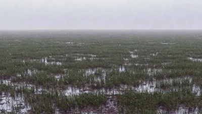 Kahramanmaraş’ta son dönemde etkili olan yağışlar, tarım açısından umut verici