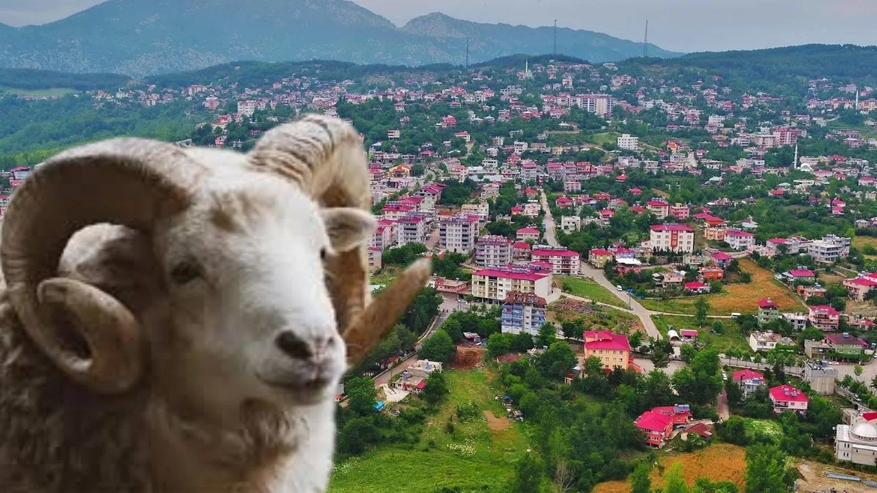 SU GELDI YUZLER GULDU 28