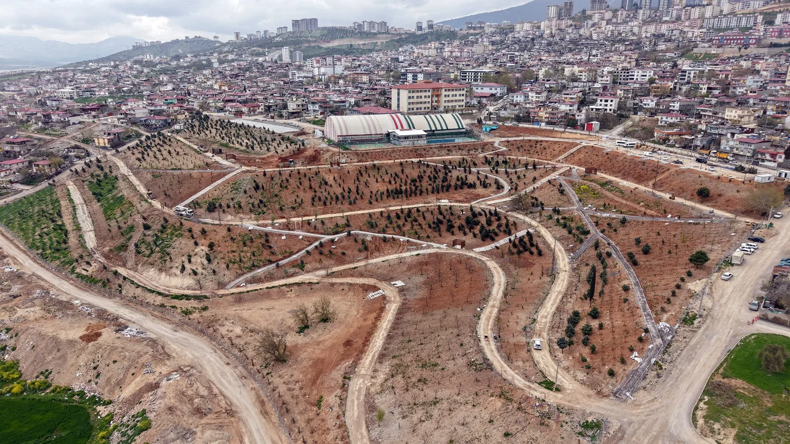 WhatsApp Image 2026 04 13 at 09.24.12