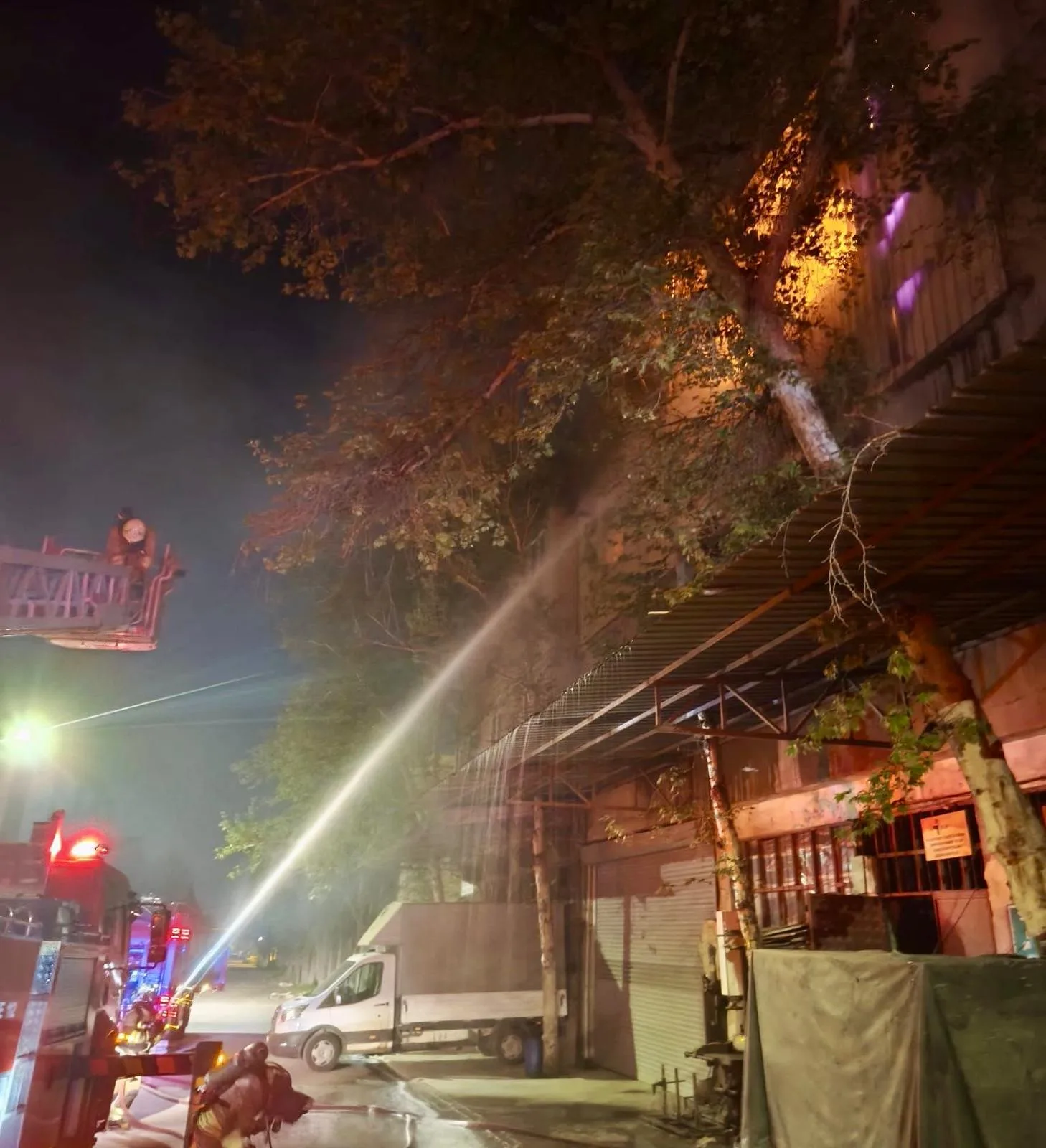 WhatsApp Image 2026 04 17 at 15.12.35